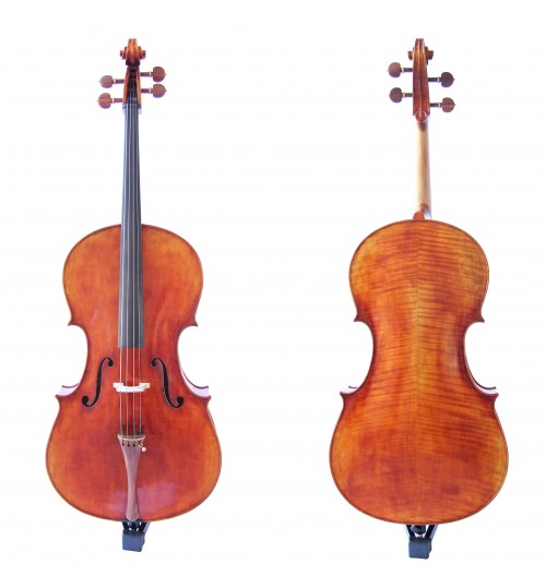 Professional Cello FPVC03S